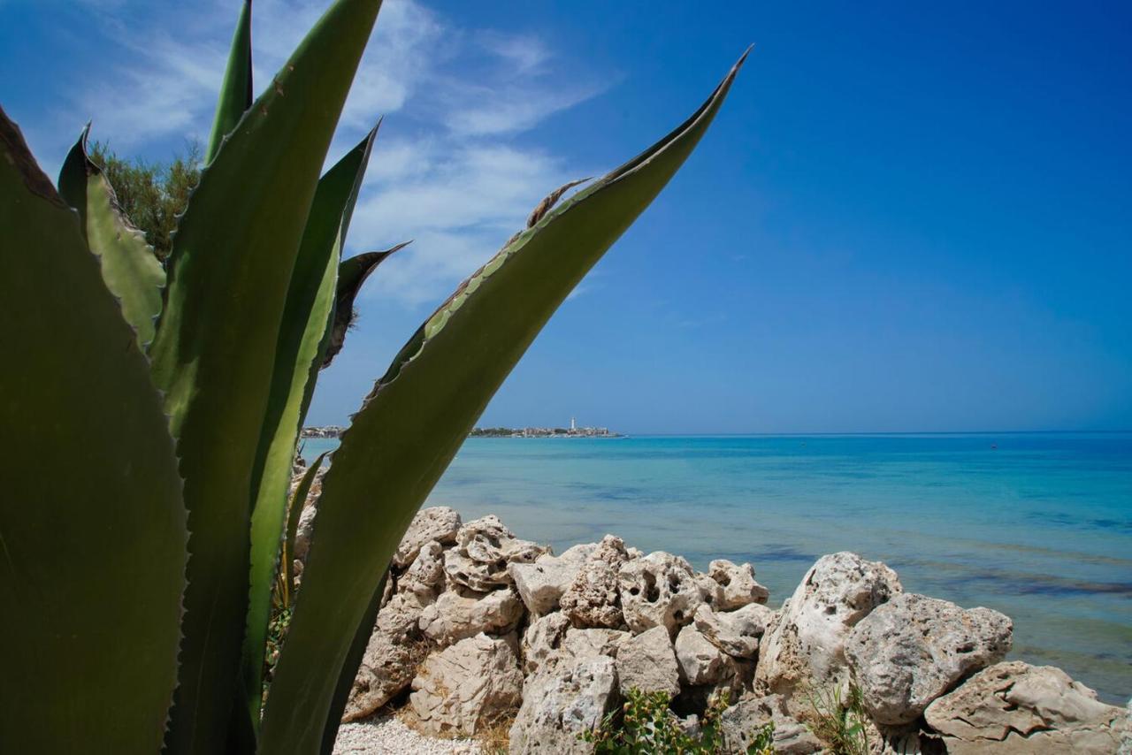 Bed and Breakfast Aurelia Sea View à Torre Canne Extérieur photo